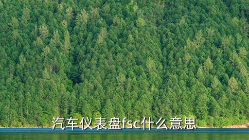 汽車儀表盤fsc什么意思