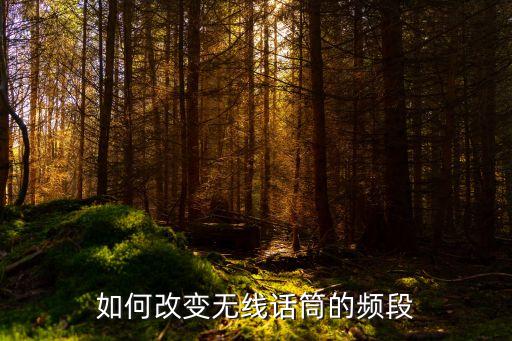 話筒怎么調(diào)頻率，無線話筒頻率怎么調(diào)