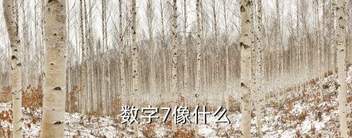 數(shù)字7像什么