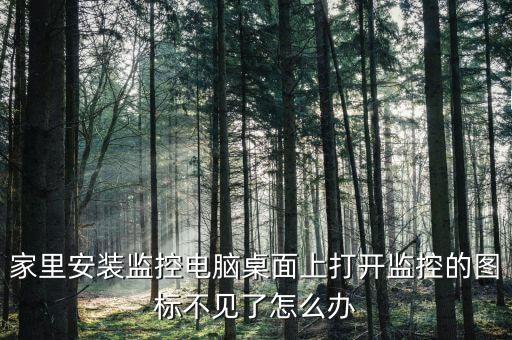 監(jiān)控圖標(biāo)，電腦桌面監(jiān)控圖標(biāo)沒(méi)了怎么辦