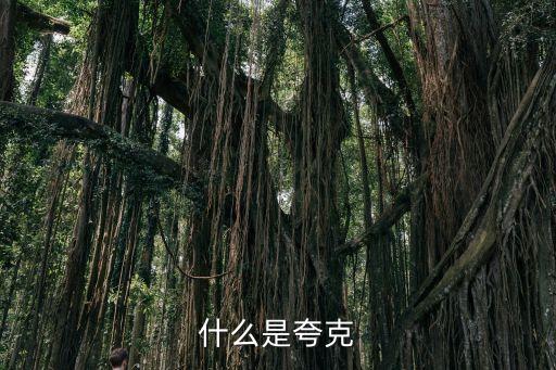 夸克是啥，什么是夸克