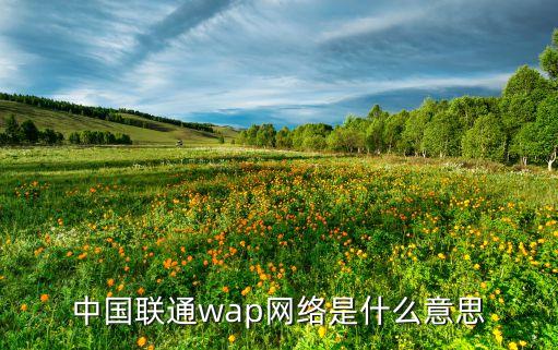 中國聯(lián)通wap網(wǎng)絡(luò)是什么意思