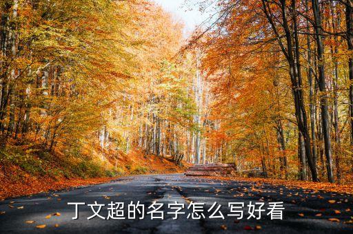 丁文超，丁文超的名字怎么寫好看
