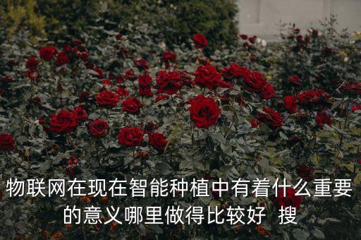 物聯(lián)網(wǎng)在現(xiàn)在智能種植中有著什么重要的意義哪里做得比較好  搜