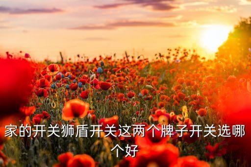 家的開關(guān)，家庭用電的開關(guān)有幾種啊