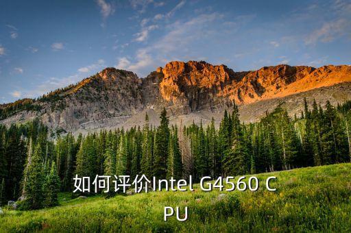 如何評價Intel G4560 CPU