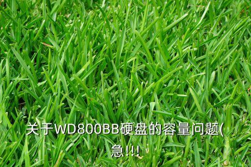 西部數(shù)據(jù)第九代硬盤,西部數(shù)據(jù)移動(dòng)硬盤哪些系列好?