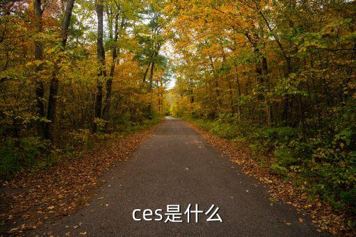仿真英文，仿真陽具的英文