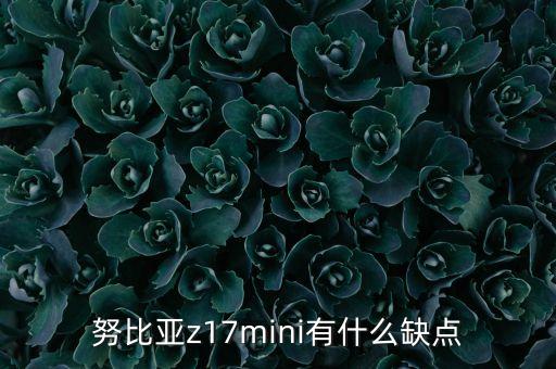 努比亞z17mini有什么缺點(diǎn)