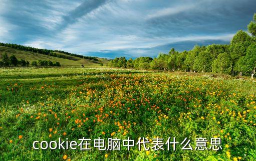 cookie是什么，電腦中cookie是什么意思
