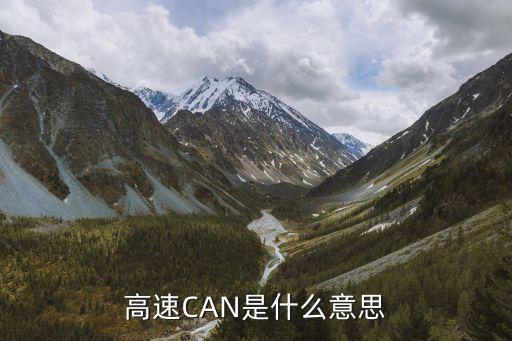 can信號，到底什么是CAN通信啊can總線是一條線嗎can通信是軟件還是硬