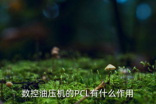 油壓設(shè)備自動(dòng)化,壓鑄周邊自動(dòng)化設(shè)備有哪些組件組成?