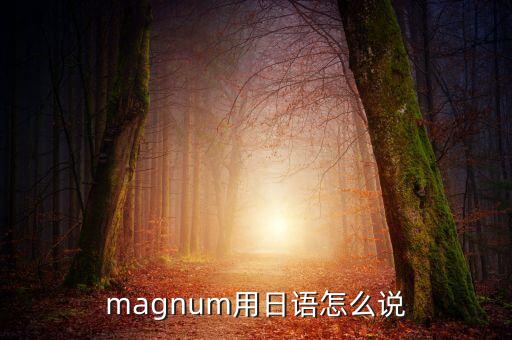magnum，magnum用日語怎么說