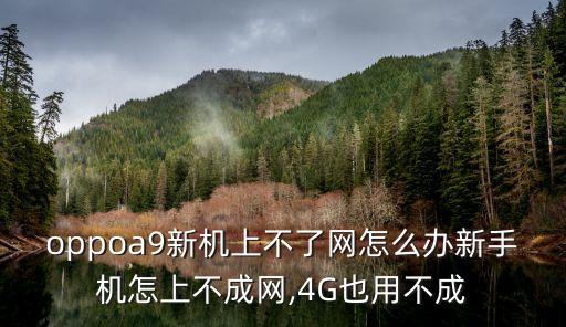 oppoa9新機(jī)上不了網(wǎng)怎么辦新手機(jī)怎上不成網(wǎng),4G也用不成