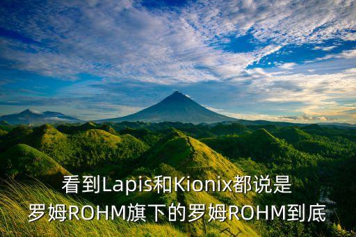 看到Lapis和Kionix都說是羅姆ROHM旗下的羅姆ROHM到底