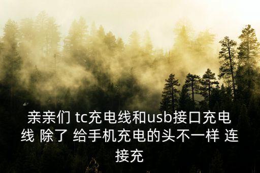 親親們 tc充電線和usb接口充電線 除了 給手機充電的頭不一樣 連接充