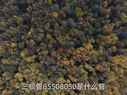 三極管85508050是什么管