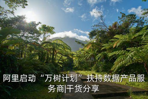 阿里啟動“萬樹計劃”扶持數(shù)據(jù)產(chǎn)品服務商|干貨分享