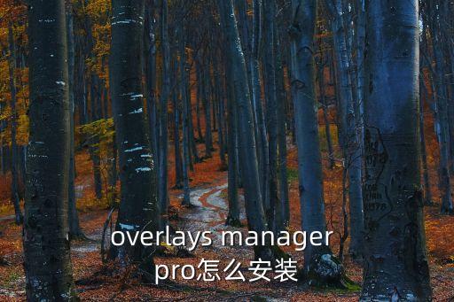 overlays manager pro怎么安裝
