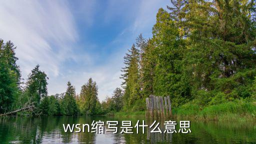 wsn，wsn是什么