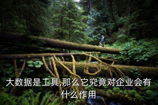 大數(shù)據(jù)是工具,那么它究竟對企業(yè)會有什么作用