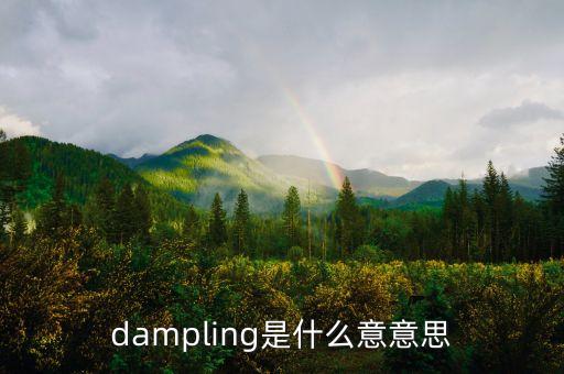 dampling是什么意意思
