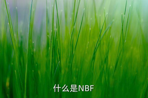 什么是NBF