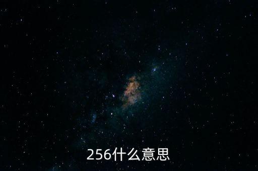 256什么意思