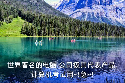 世界著名的電腦 公司極其代表產(chǎn)品,計(jì)算機(jī)考試用~!急~!