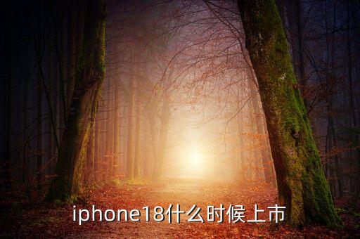 蘋果18，甲乙丙丁四個(gè)朋友共分蘋果18個(gè)每人依次少一個(gè)甲乙