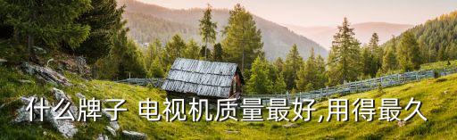 什么牌子 電視機質量最好,用得最久