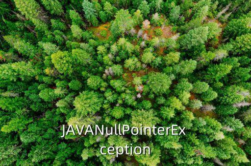 JAVANullPointerException