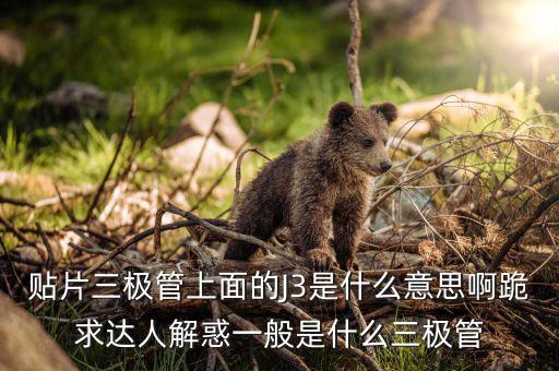 貼片三極管上面的J3是什么意思啊跪求達(dá)人解惑一般是什么三極管