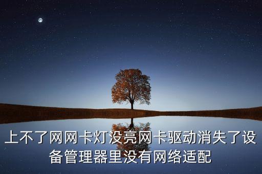 上不了網(wǎng)網(wǎng)卡燈沒亮網(wǎng)卡驅(qū)動(dòng)消失了設(shè)備管理器里沒有網(wǎng)絡(luò)適配