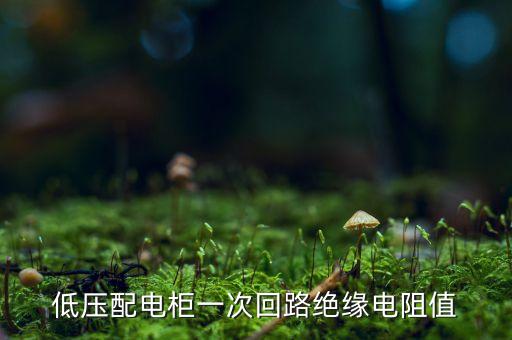 低壓配電柜一次回路絕緣電阻值