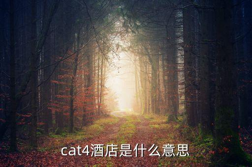 cat4酒店是什么意思