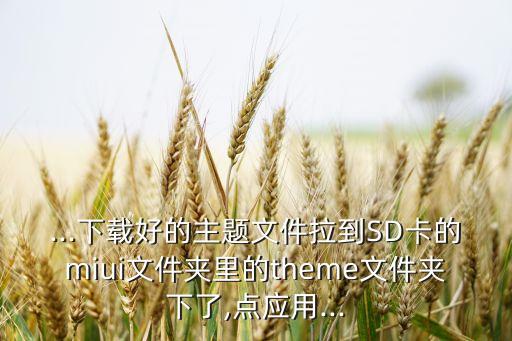 ...下載好的主題文件拉到SD卡的miui文件夾里的theme文件夾下了,點(diǎn)應(yīng)用...