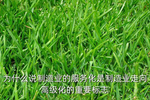 制造業(yè)服務(wù)化，都說(shuō)服務(wù)化是行業(yè)的發(fā)展趨勢(shì)那像我們制造業(yè)的服務(wù)化具體指什么啊