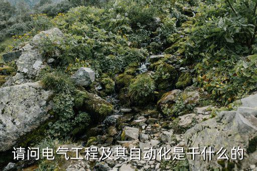 請(qǐng)問電氣工程及其自動(dòng)化是干什么的