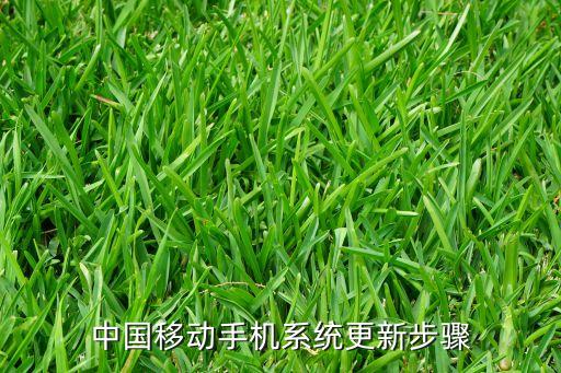 中國(guó)移動(dòng)手機(jī)系統(tǒng)更新步驟