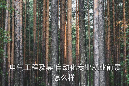  電氣工程及其 自動(dòng)化專業(yè)就業(yè)前景怎么樣