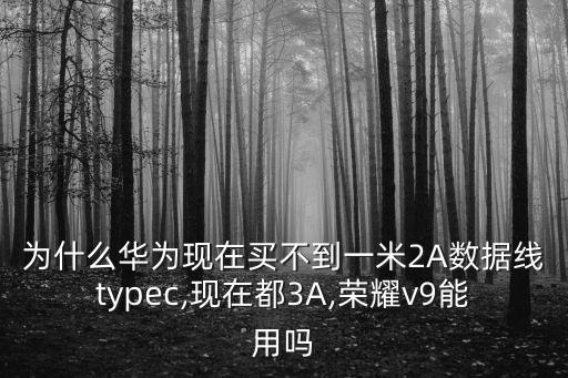 為什么華為現(xiàn)在買不到一米2A數(shù)據(jù)線typec,現(xiàn)在都3A,榮耀v9能用嗎
