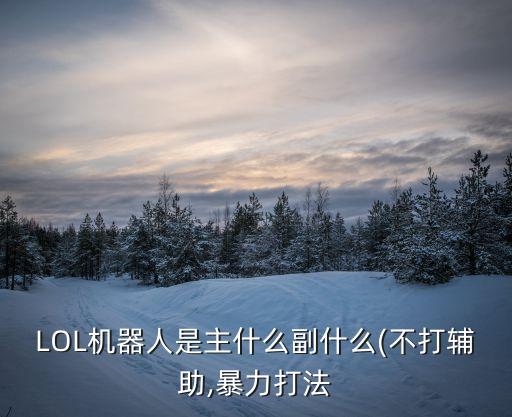 LOL機(jī)器人是主什么副什么(不打輔助,暴力打法