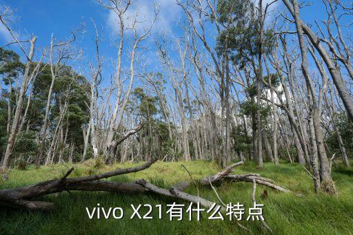 vivo X21有什么特點(diǎn)