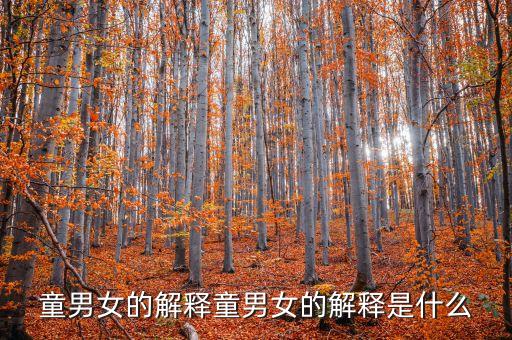 童男女的解釋童男女的解釋是什么