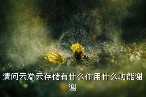 請問云端云存儲有什么作用什么功能謝謝
