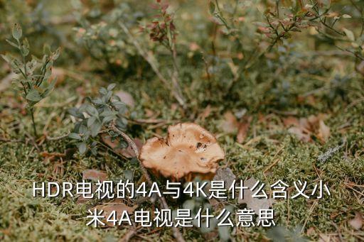 HDR電視的4A與4K是什么含義小米4A電視是什么意思