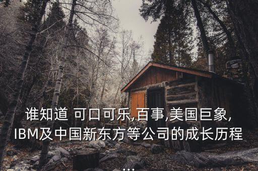 誰知道 可口可樂,百事,美國巨象,IBM及中國新東方等公司的成長歷程...
