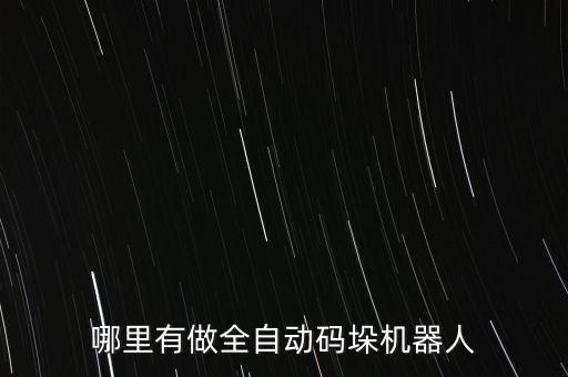 哪里有做全自動碼垛機(jī)器人