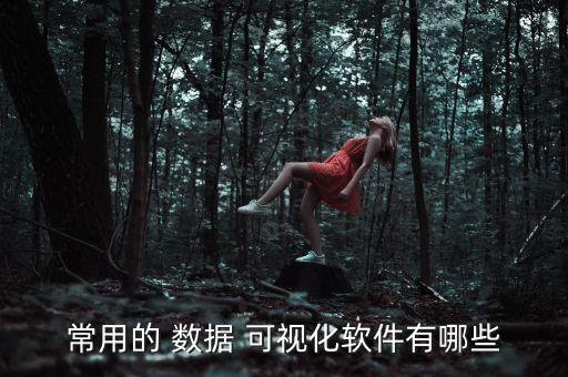 常用的 數(shù)據(jù) 可視化軟件有哪些
